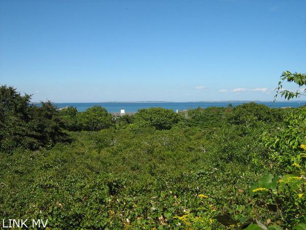 144 Lighthouse Road Aquinnah, MA 02535 - Photo 5 of 5 http://d1qzqeyxiitrap.cloudfront.net/photos/18035/600/941db765.jpg