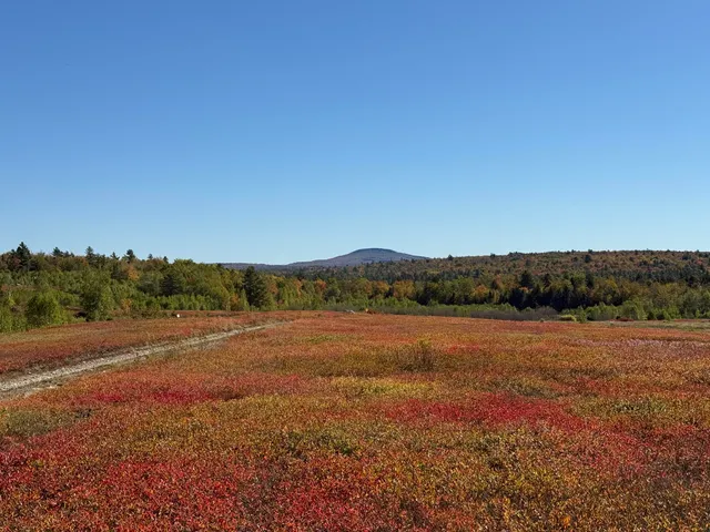 $699,000 | Map19-lot28 Leach Road, Penobscot, ME 04476