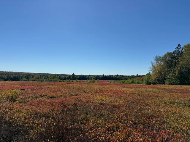 $699,000 | Map19-lot28 Leach Road, Penobscot, ME 04476