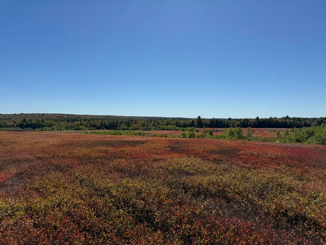 $699,000 | Map19-lot28 Leach Road, Penobscot, ME 04476