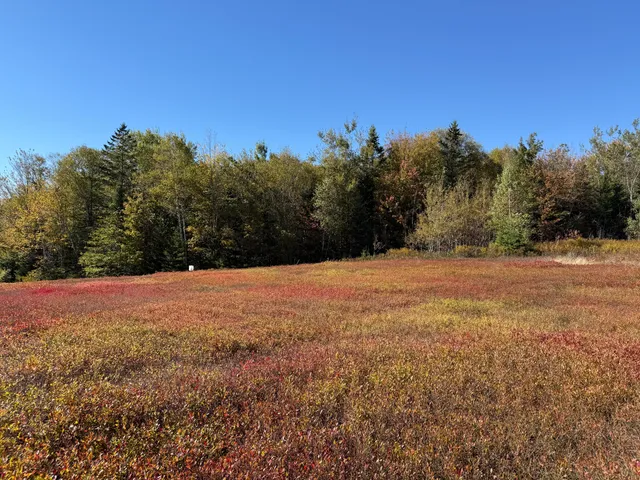 $699,000 | Map19-lot28 Leach Road, Penobscot, ME 04476