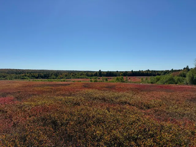 $699,000 | Map19-lot28 Leach Road, Penobscot, ME 04476