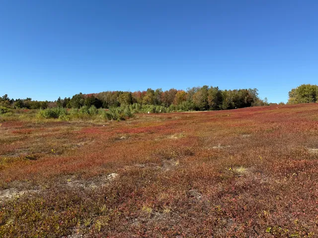 $699,000 | Map19-lot28 Leach Road, Penobscot, ME 04476