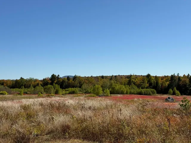 $699,000 | Map19-lot28 Leach Road, Penobscot, ME 04476