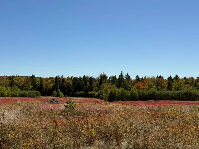 $699,000 | Map19-lot28 Leach Road, Penobscot, ME 04476