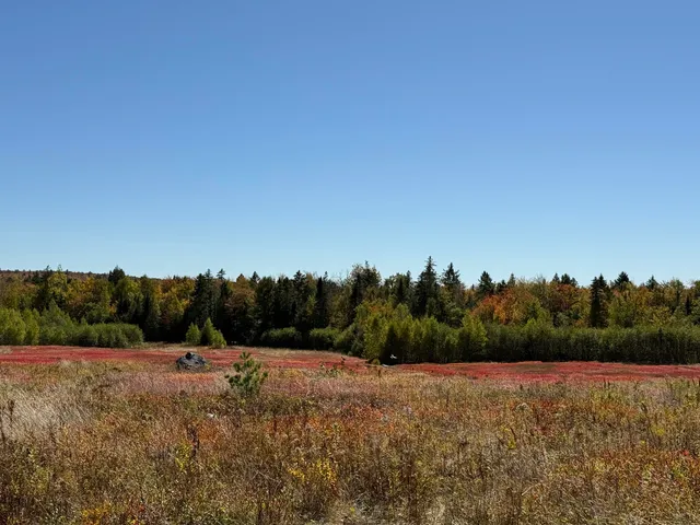 $699,000 | Map19-lot28 Leach Road, Penobscot, ME 04476