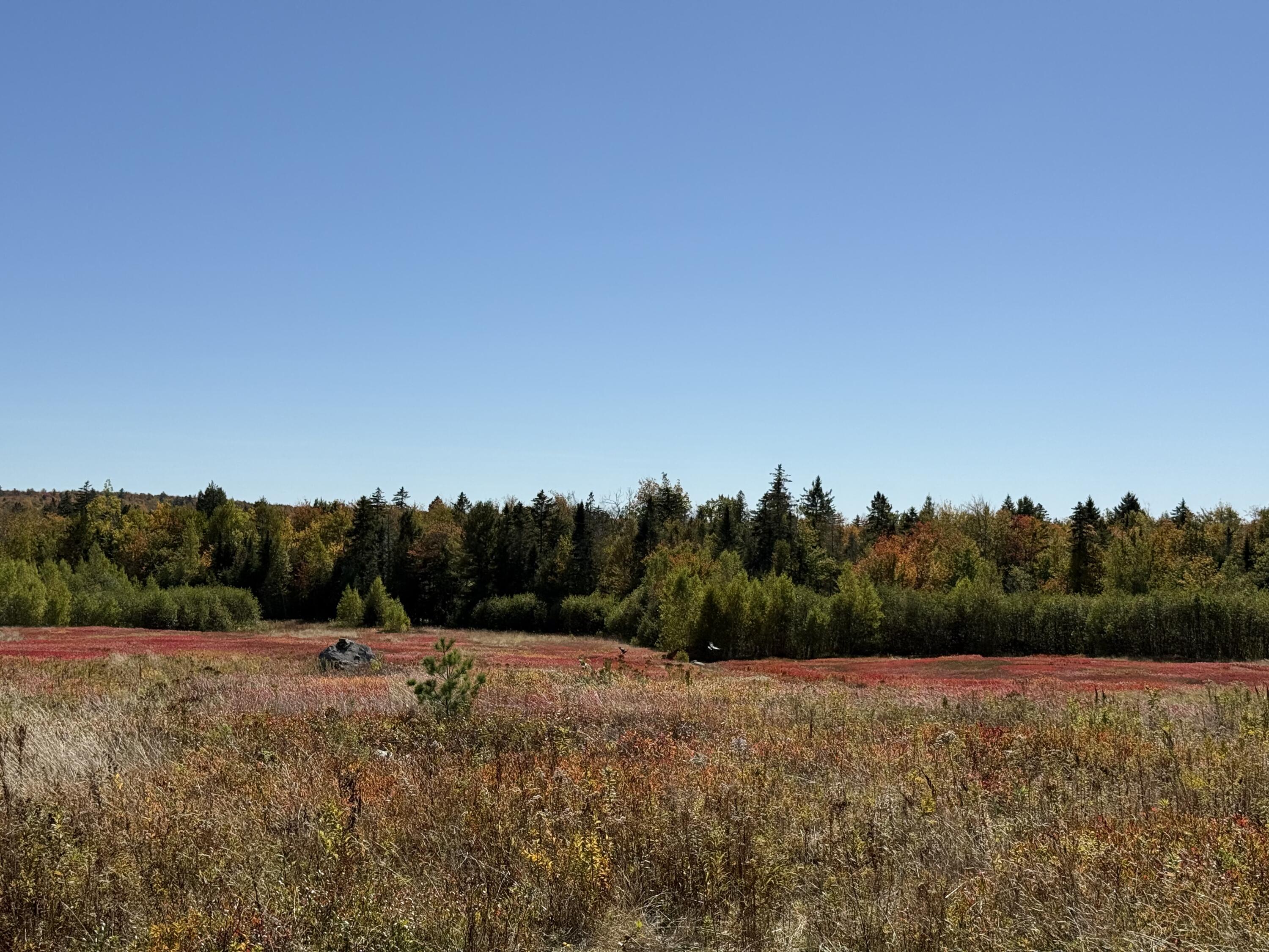 Map19-lot28 Leach Road Penobscot, ME 04476 - Photo 19 of 31 MAP 19 LOT 28