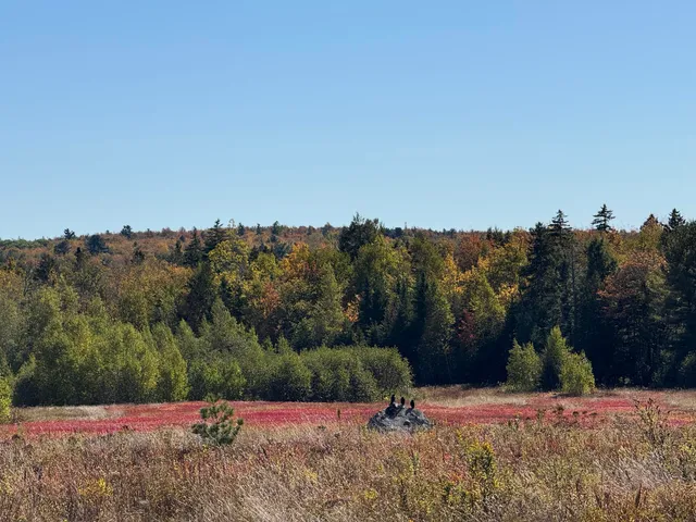 $699,000 | Map19-lot28 Leach Road, Penobscot, ME 04476