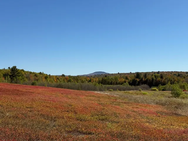 $699,000 | Map19-lot28 Leach Road, Penobscot, ME 04476