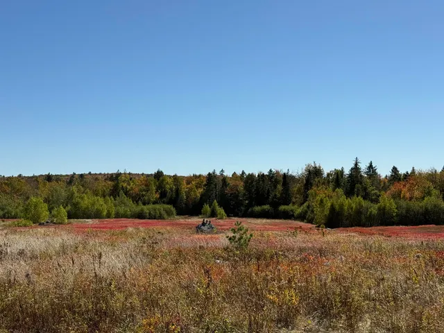 $699,000 | Map19-lot28 Leach Road, Penobscot, ME 04476