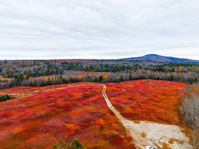 $699,000 | Map19-lot28 Leach Road, Penobscot, ME 04476