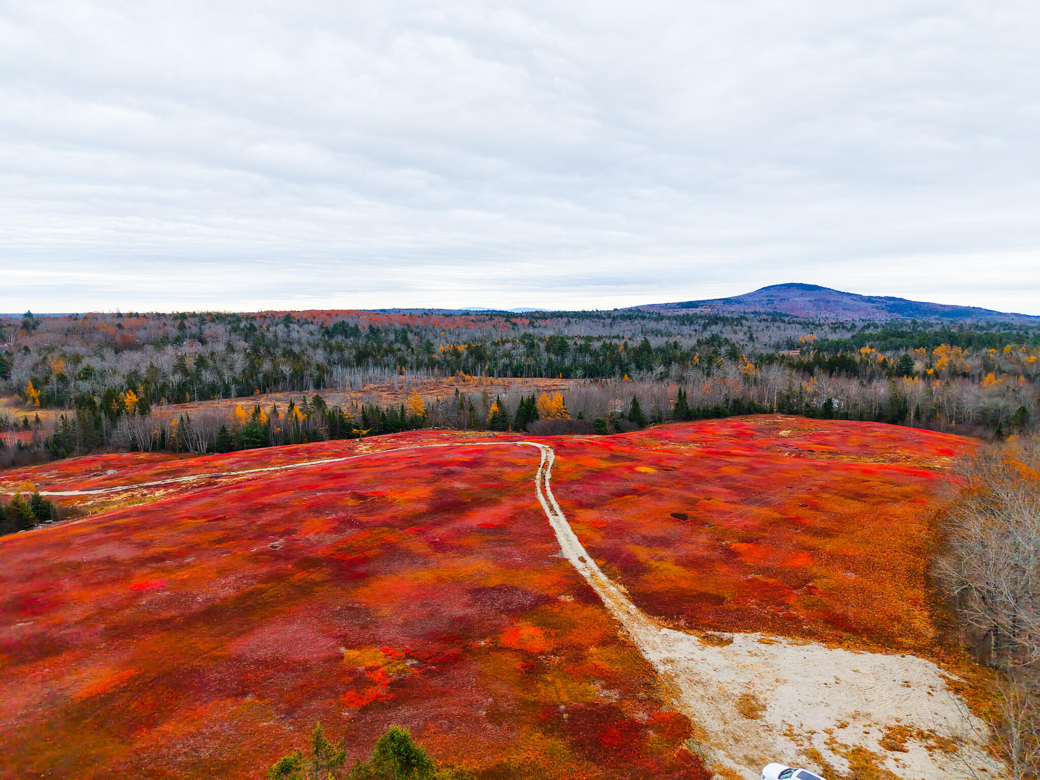 Map19-lot28 Leach Road Penobscot, ME 04476 - Photo 22 of 31 MAP 19 LOT 28