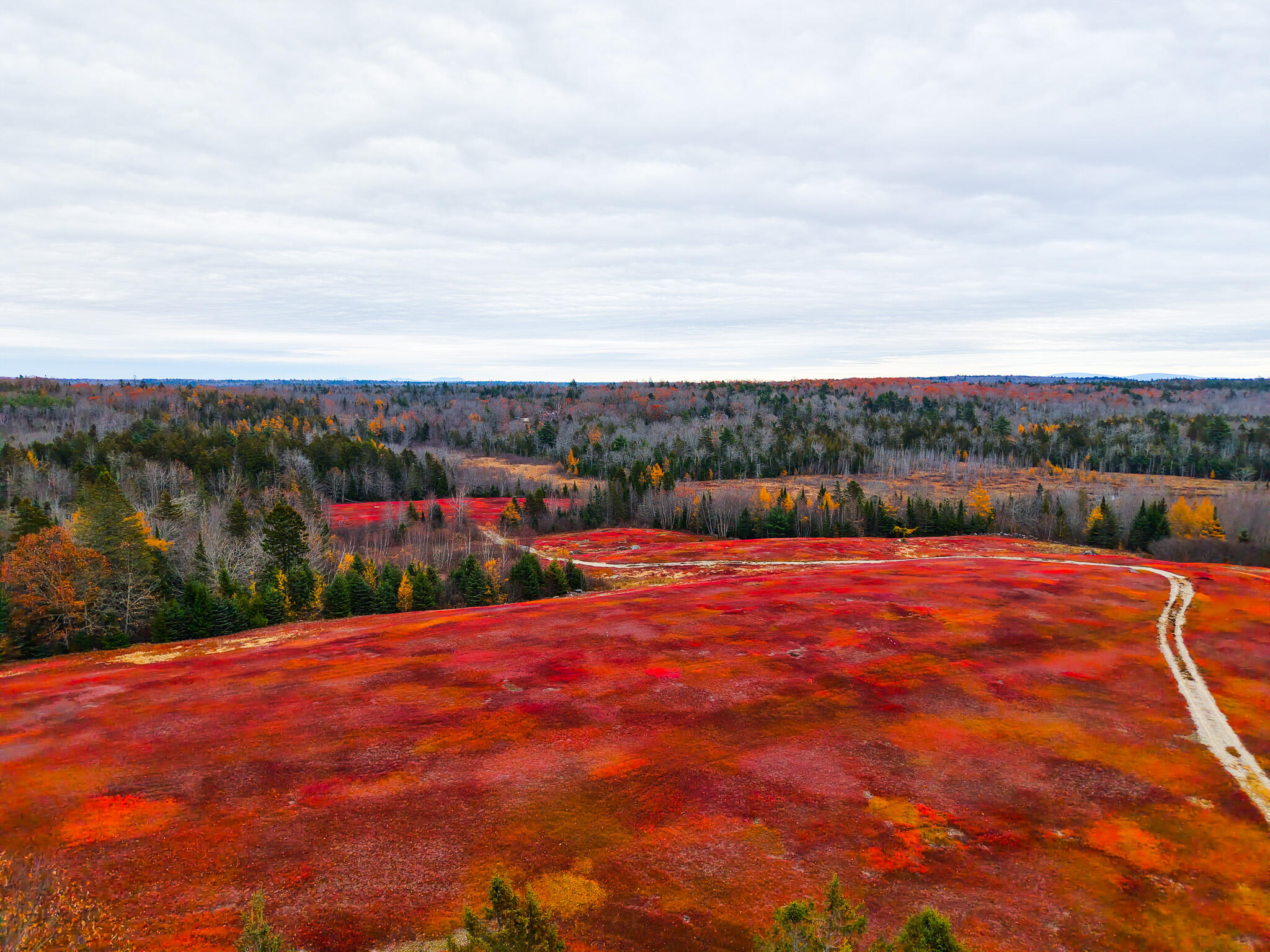 Map19-lot28 Leach Road Penobscot, ME 04476 - Photo 23 of 31 MAP 19 LOT 28
