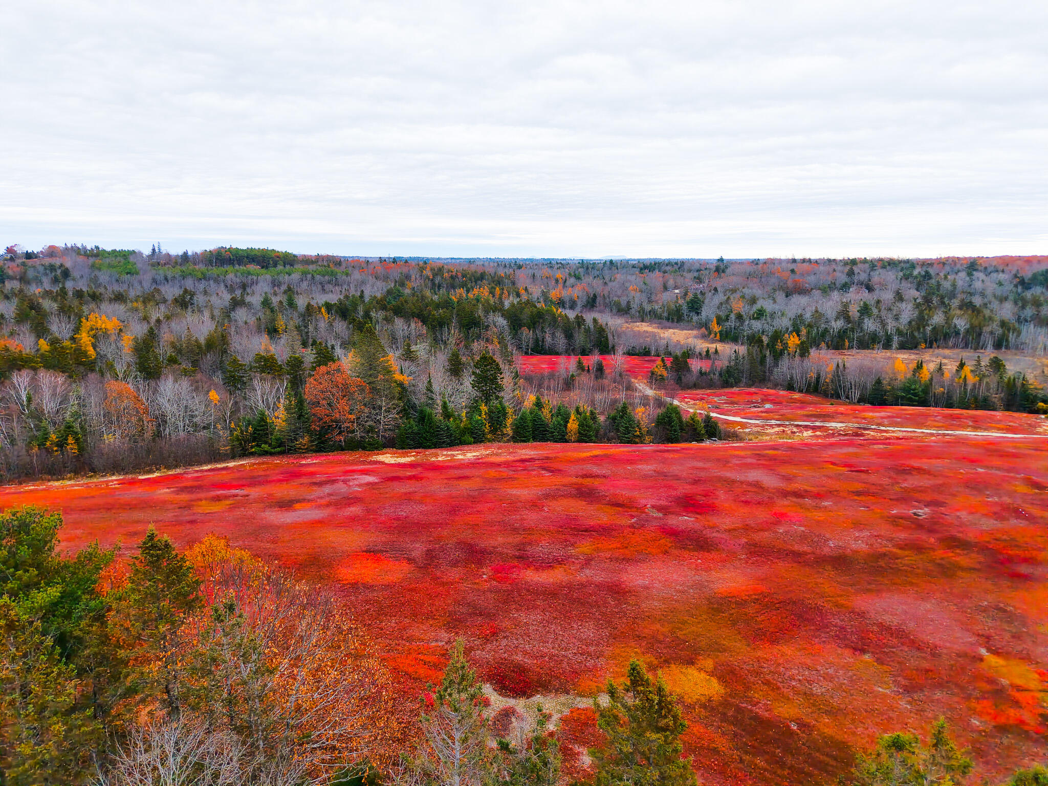 Map19-lot28 Leach Road Penobscot, ME 04476 - Photo 24 of 31 MAP 19 LOT 28