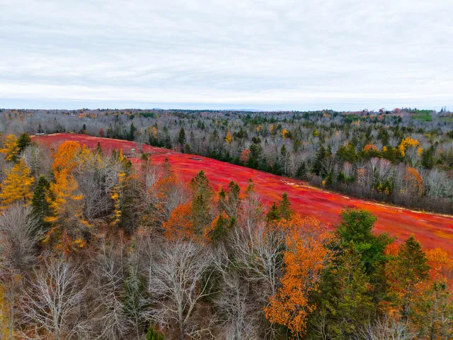$699,000 | Map19-lot28 Leach Road, Penobscot, ME 04476