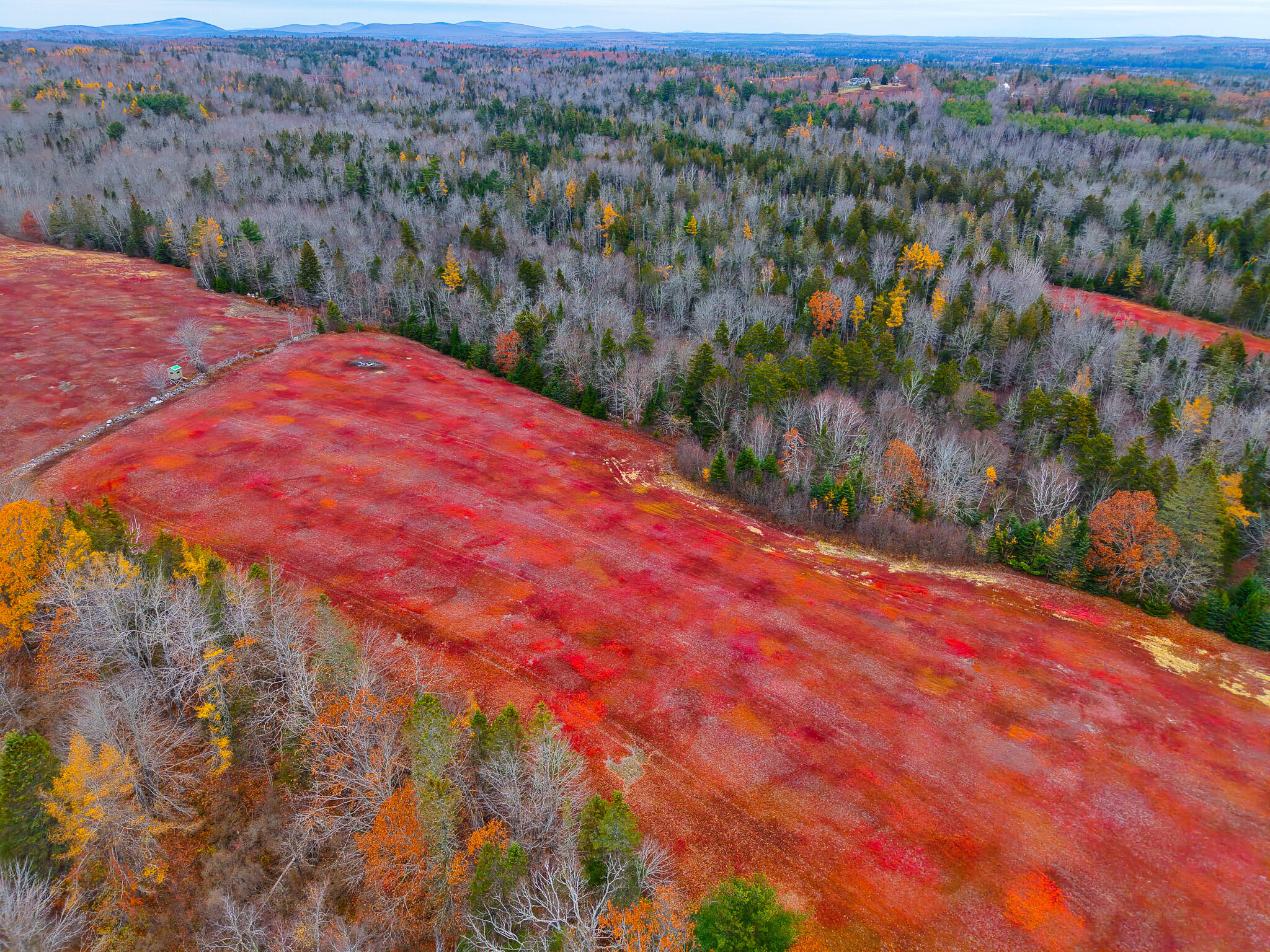 Map19-lot28 Leach Road Penobscot, ME 04476 - Photo 26 of 31 MAP 19 LOT 28