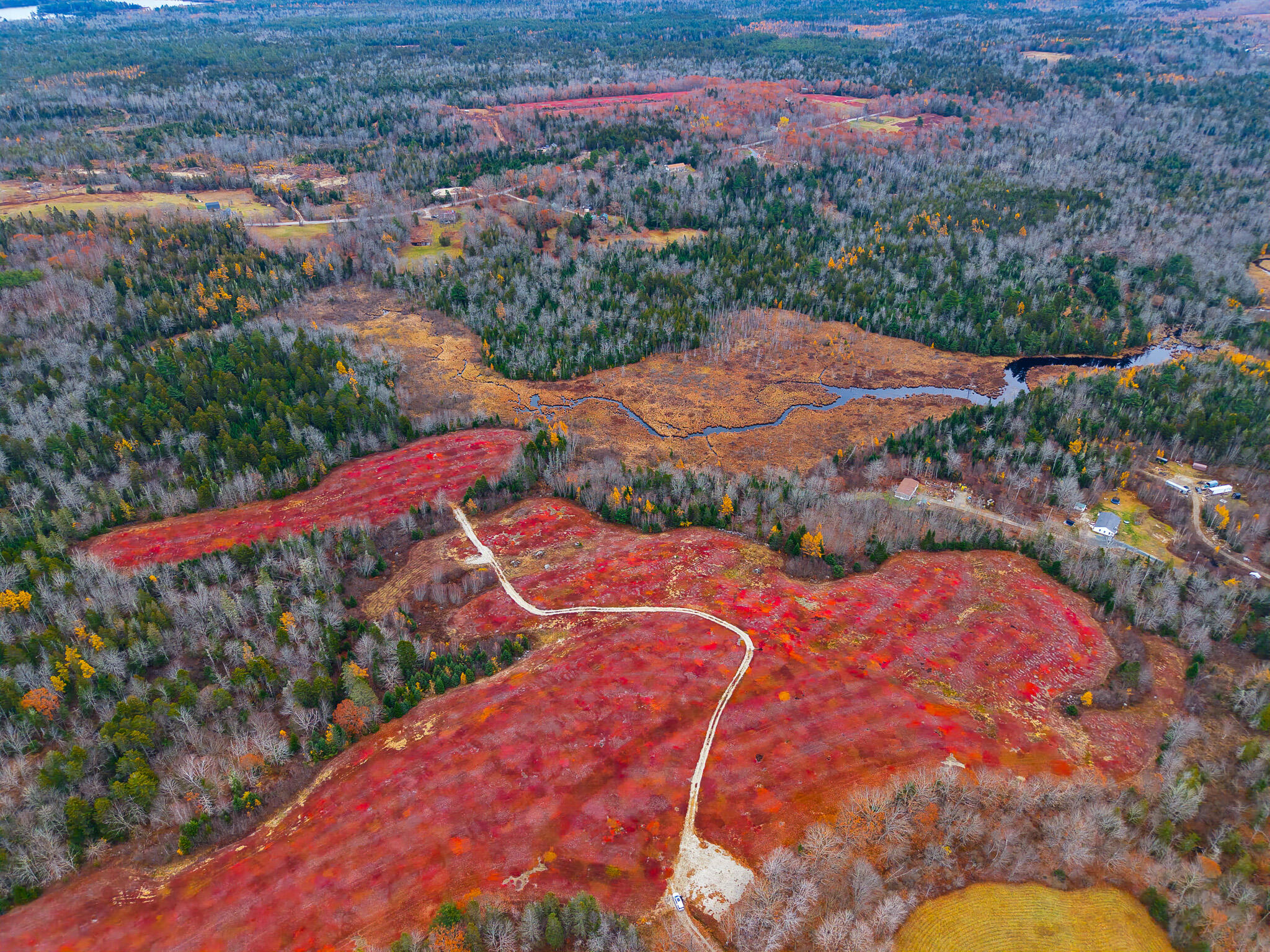 Map19-lot28 Leach Road Penobscot, ME 04476 - Photo 27 of 31 MAP 19 LOT 28