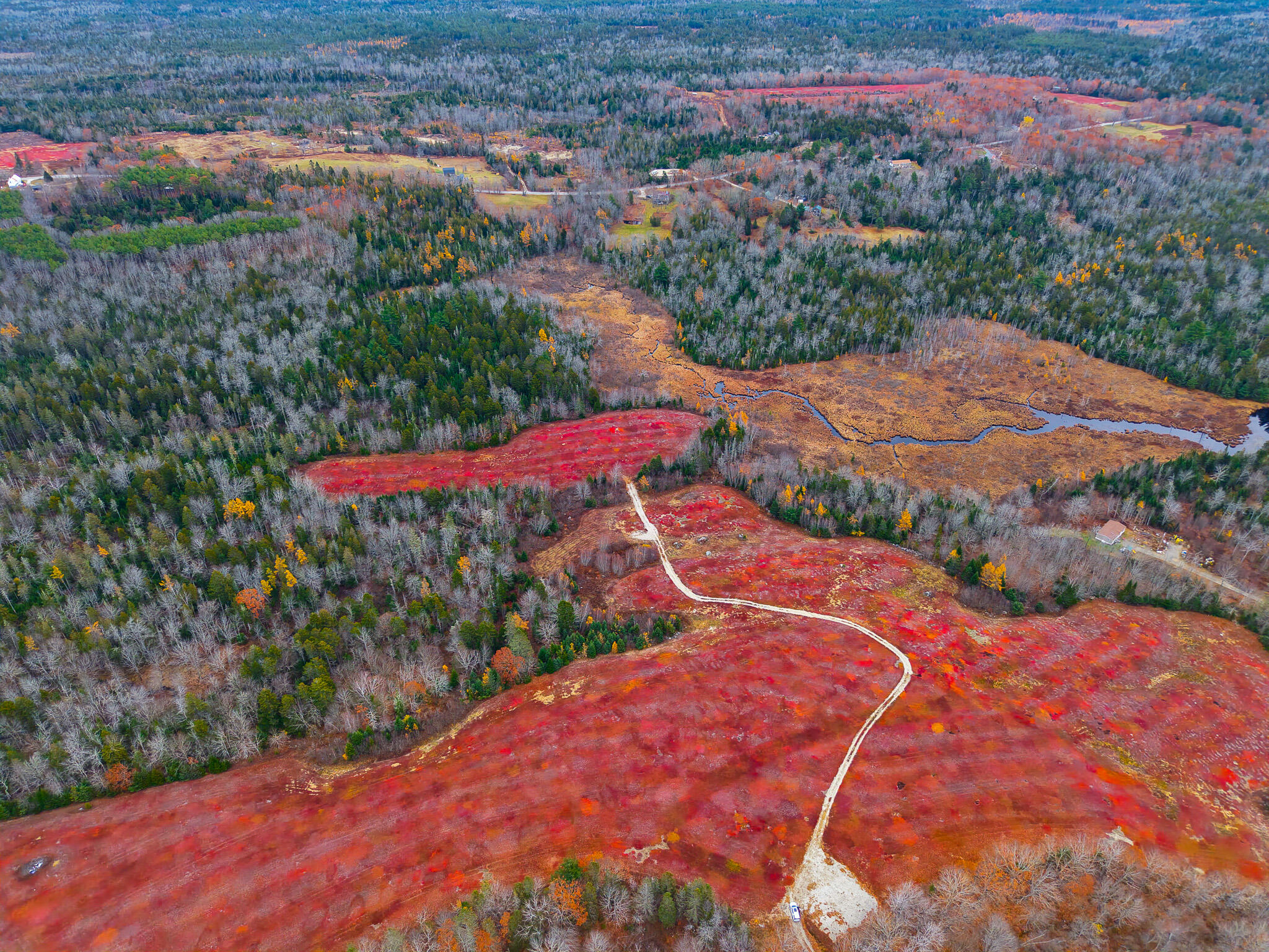 Map19-lot28 Leach Road Penobscot, ME 04476 - Photo 28 of 31 MAP 19 LOT 28