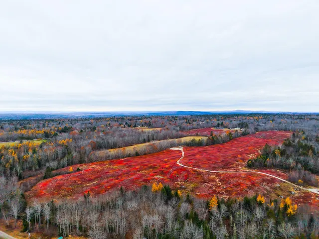 $699,000 | Map19-lot28 Leach Road, Penobscot, ME 04476