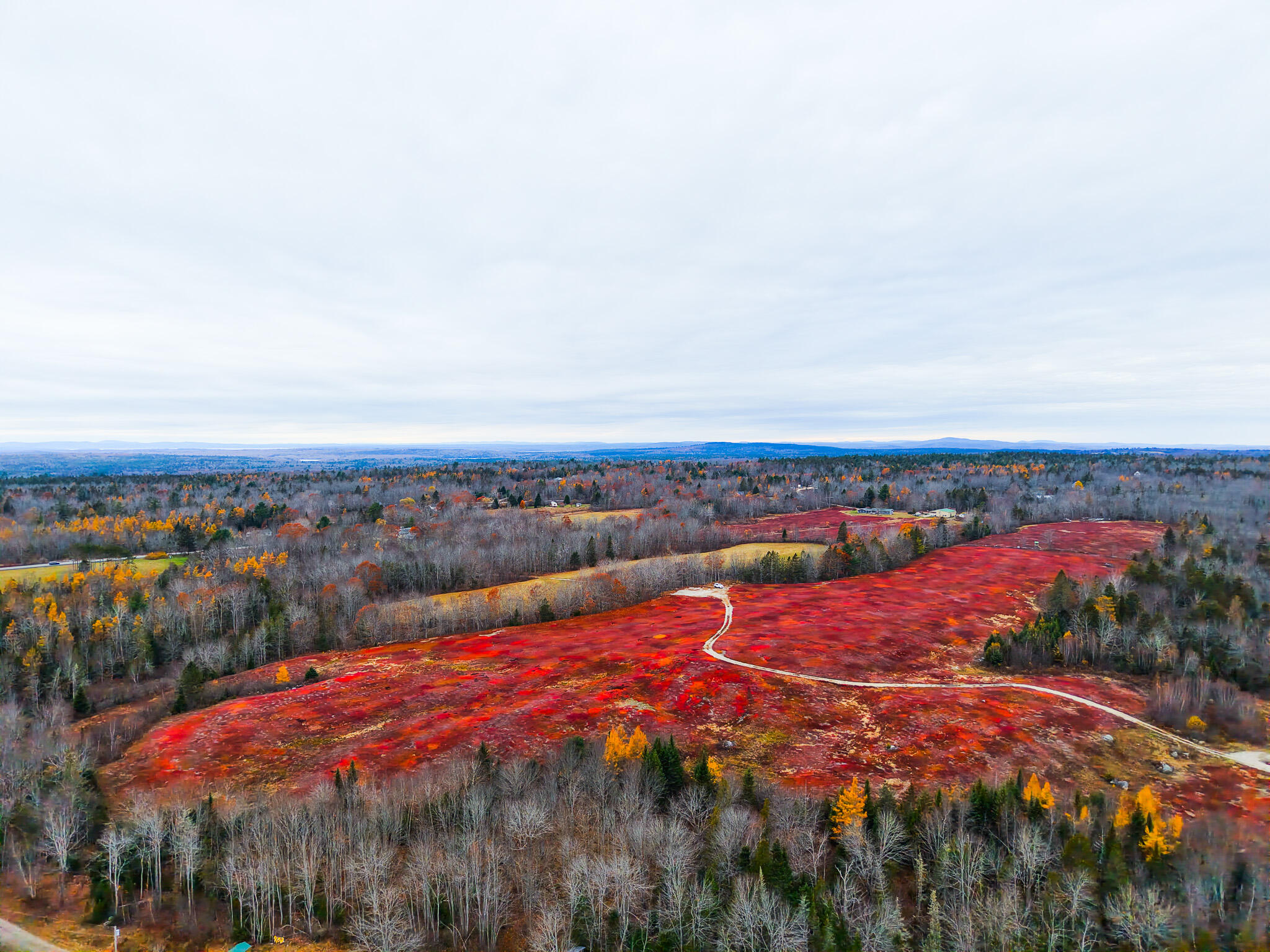Map19-lot28 Leach Road Penobscot, ME 04476 - Photo 30 of 31 MAP 19 LOT 28