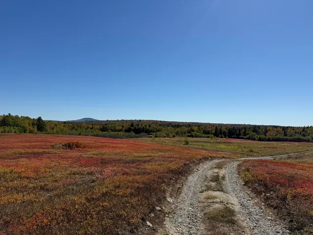 $699,000 | Map19-lot28 Leach Road, Penobscot, ME 04476