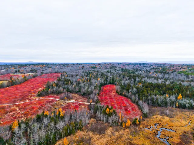 $699,000 | Map19-lot28 Leach Road, Penobscot, ME 04476