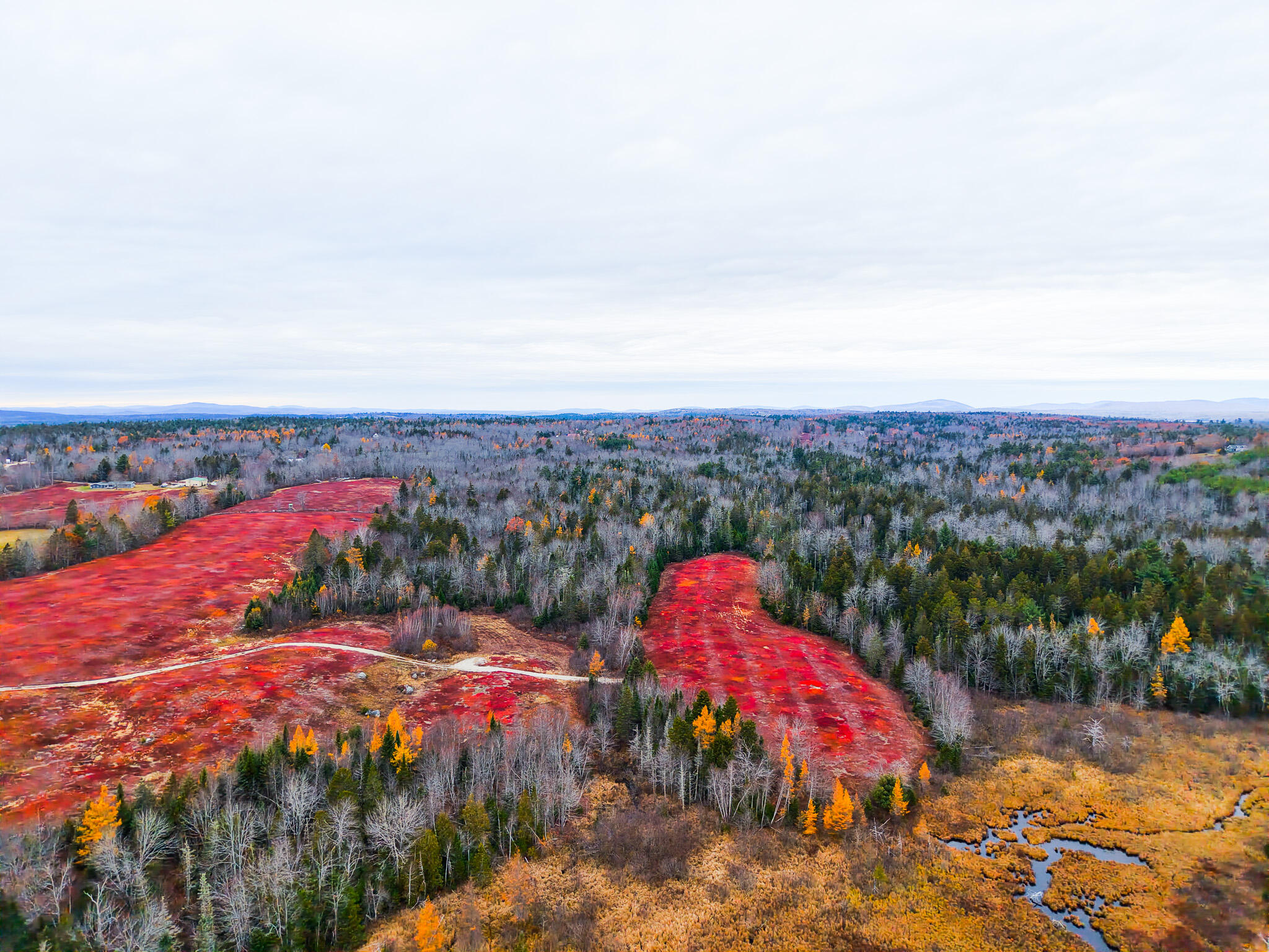 Map19-lot28 Leach Road Penobscot, ME 04476 - Photo 31 of 31 MAP 19 LOT 28
