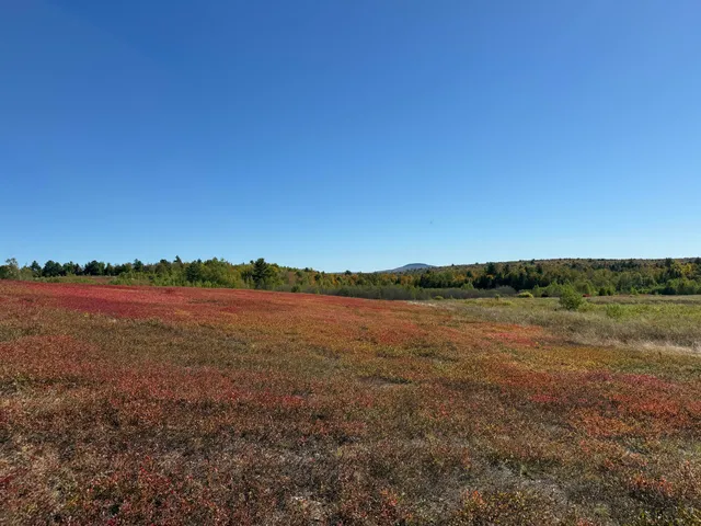$699,000 | Map19-lot28 Leach Road, Penobscot, ME 04476