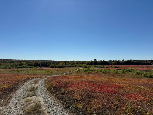 $699,000 | Map19-lot28 Leach Road, Penobscot, ME 04476
