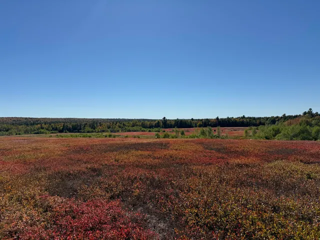 $699,000 | Map19-lot28 Leach Road, Penobscot, ME 04476