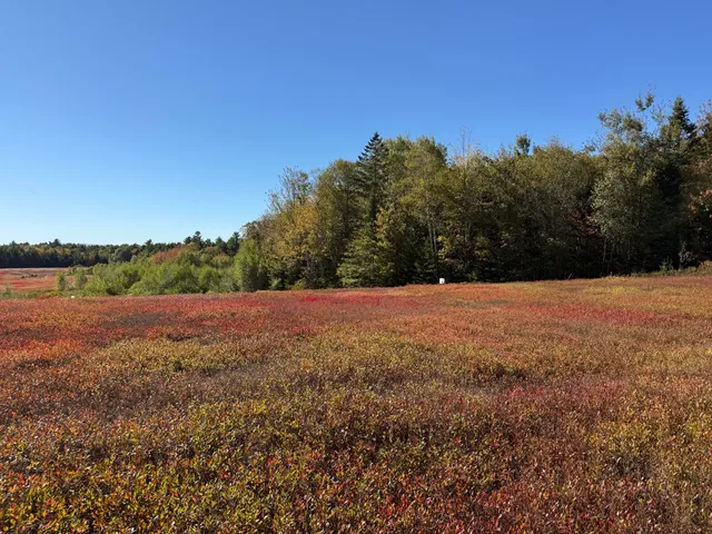 $699,000 | Map19-lot28 Leach Road, Penobscot, ME 04476
