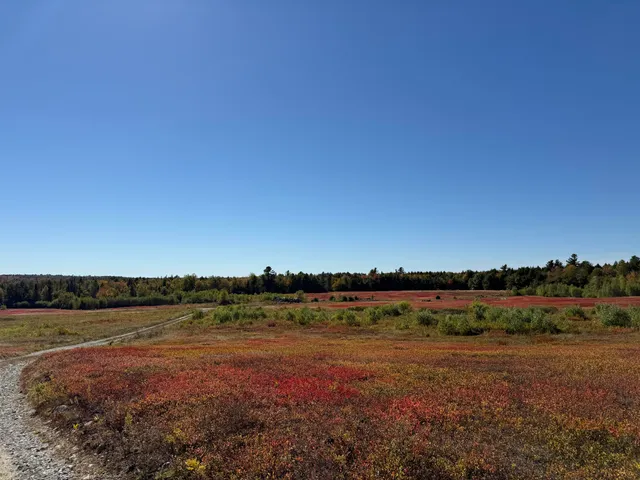 $699,000 | Map19-lot28 Leach Road, Penobscot, ME 04476