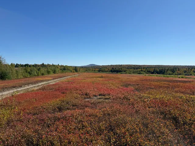 $699,000 | Map19-lot28 Leach Road, Penobscot, ME 04476