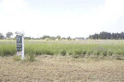 Tuttle Road Ionia, MI 48846 - Photo 1 of 1 Primary Photo
