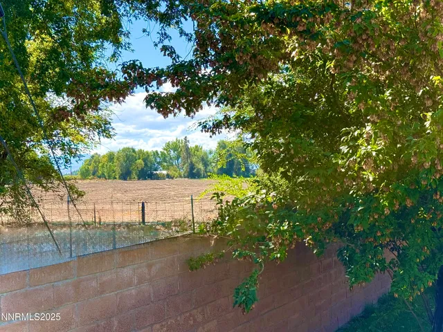 a view of flowers in a garden