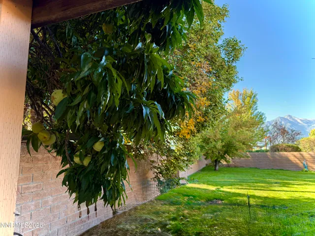 a view of a patio with table and chairs potted plants