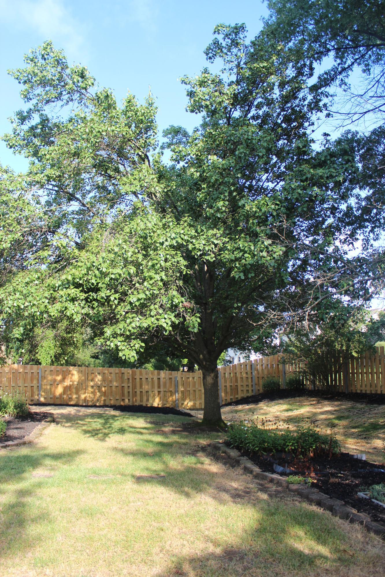 110 Ridge Side Drive Powell, OH 43065 - Photo 4 of 23