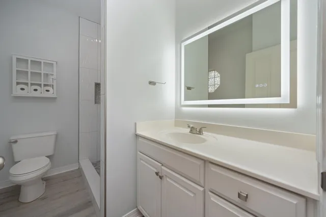 a bathroom with a toilet a sink and mirror