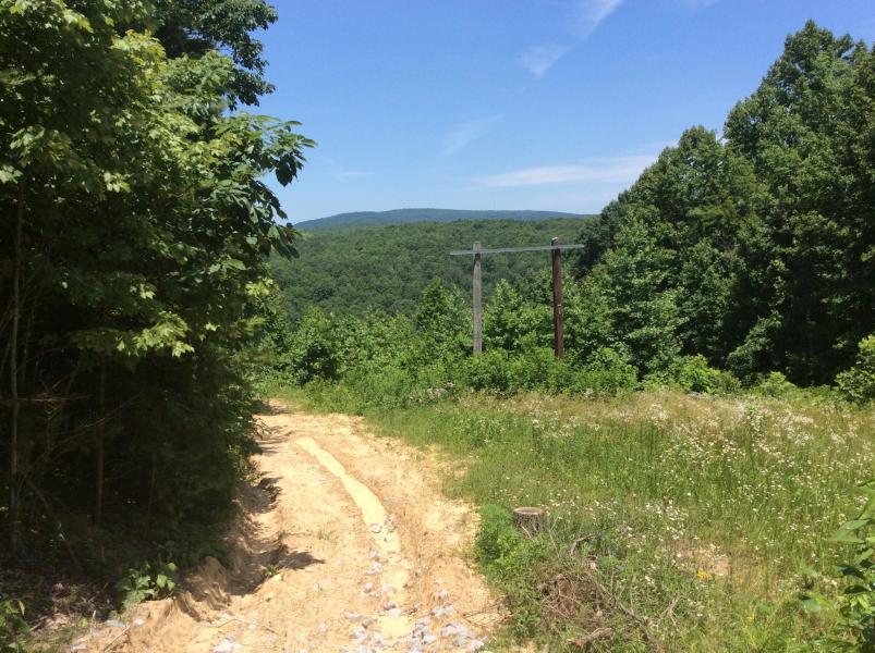 Alps Road Grandview, TN 37337 - Photo 3 of 4 2F7184CA-595D-4531-8ED1-E4433CA18119