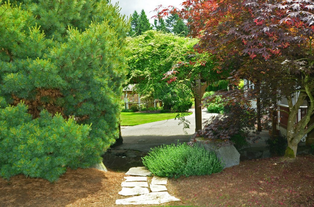 9611 39th Loop Northeast Olympia, WA 98516 - Photo 15 of 15