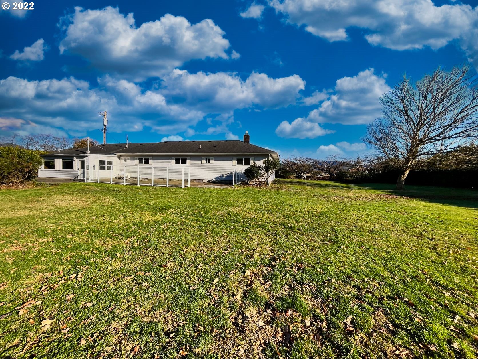 1675 Makinster Road Tillamook, OR 97141 - Photo 24 of 29 a view of a swimming pool with lawn chairs and large tree