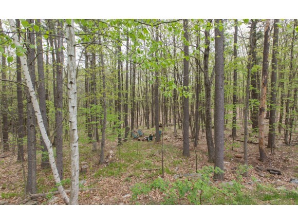 16 Mitchell Pond Road Windham, NH 03087 - Photo 26 of 28
