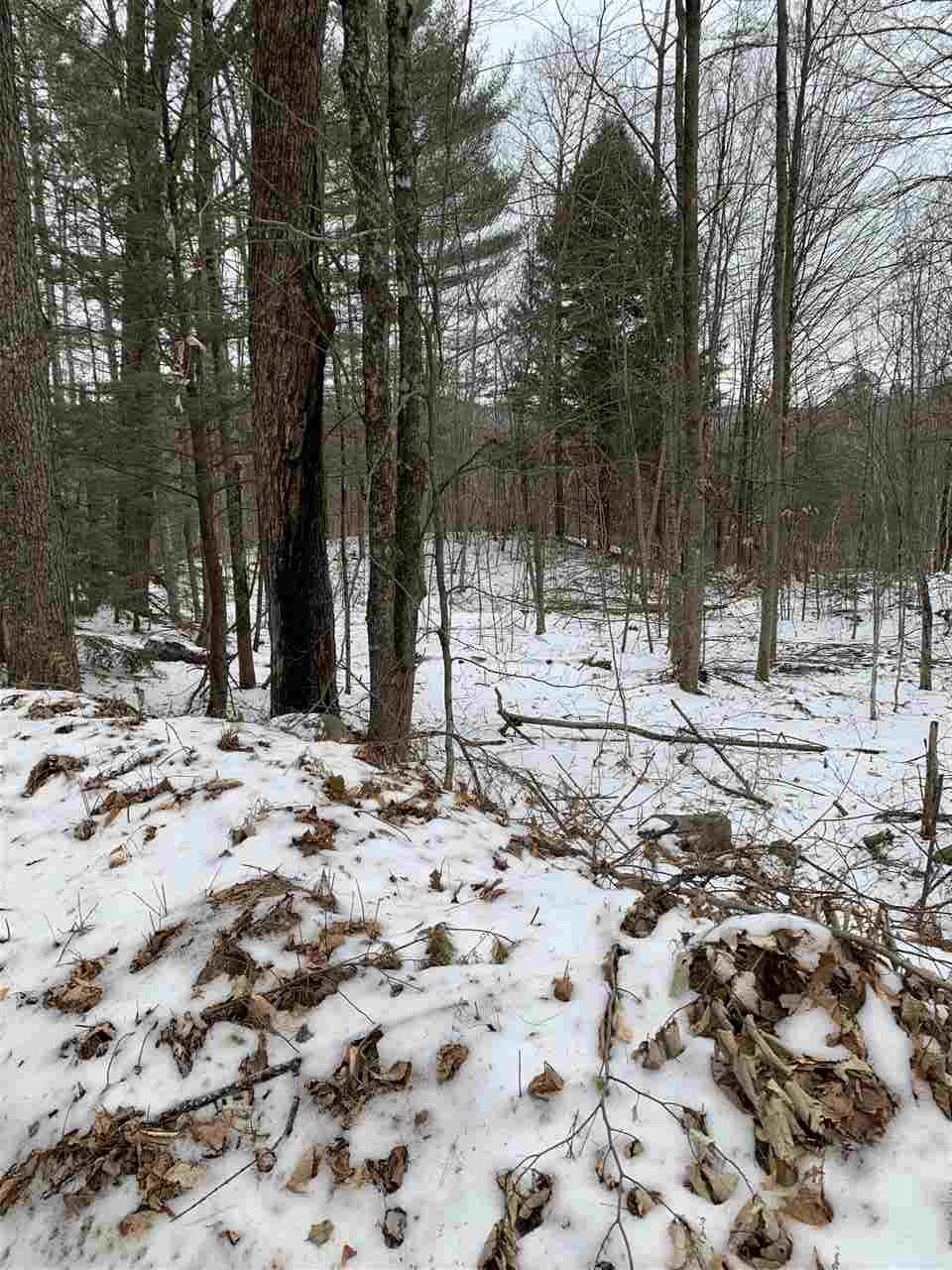 Lot 2 Cheever Road Wentworth, NH 03282 - Photo 3 of 9