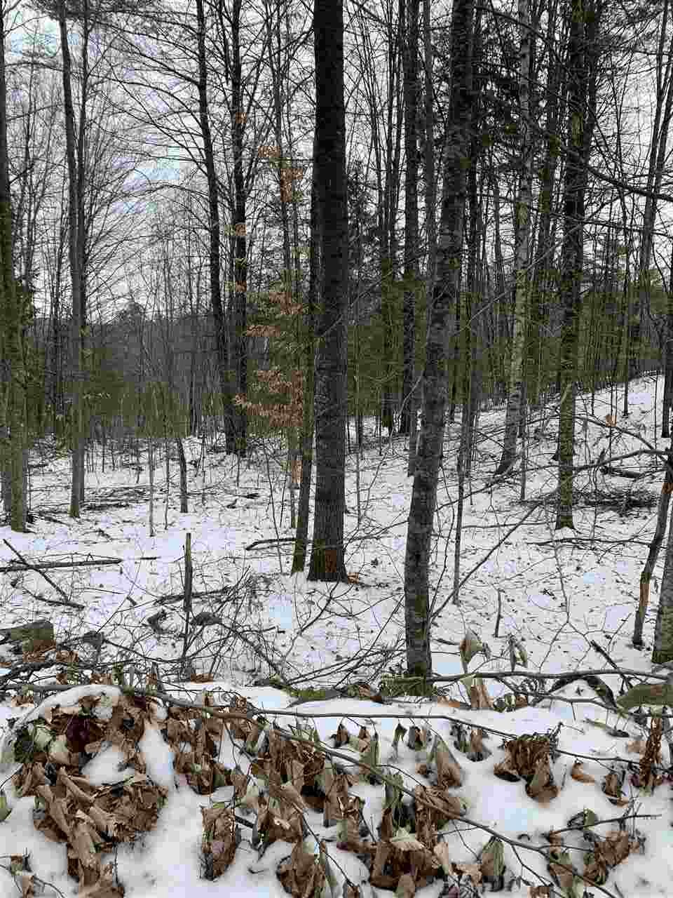Lot 2 Cheever Road Wentworth, NH 03282 - Photo 4 of 9