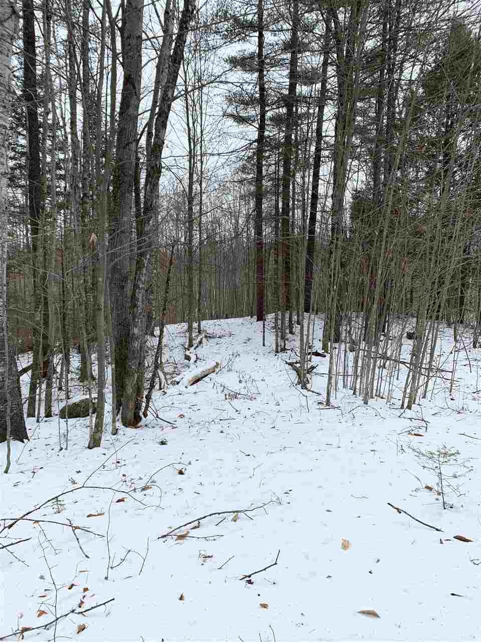 Lot 2 Cheever Road Wentworth, NH 03282 - Photo 5 of 9