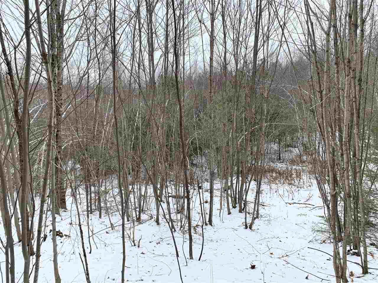 Lot 2 Cheever Road Wentworth, NH 03282 - Photo 6 of 9