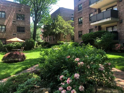 a view of a garden with plants