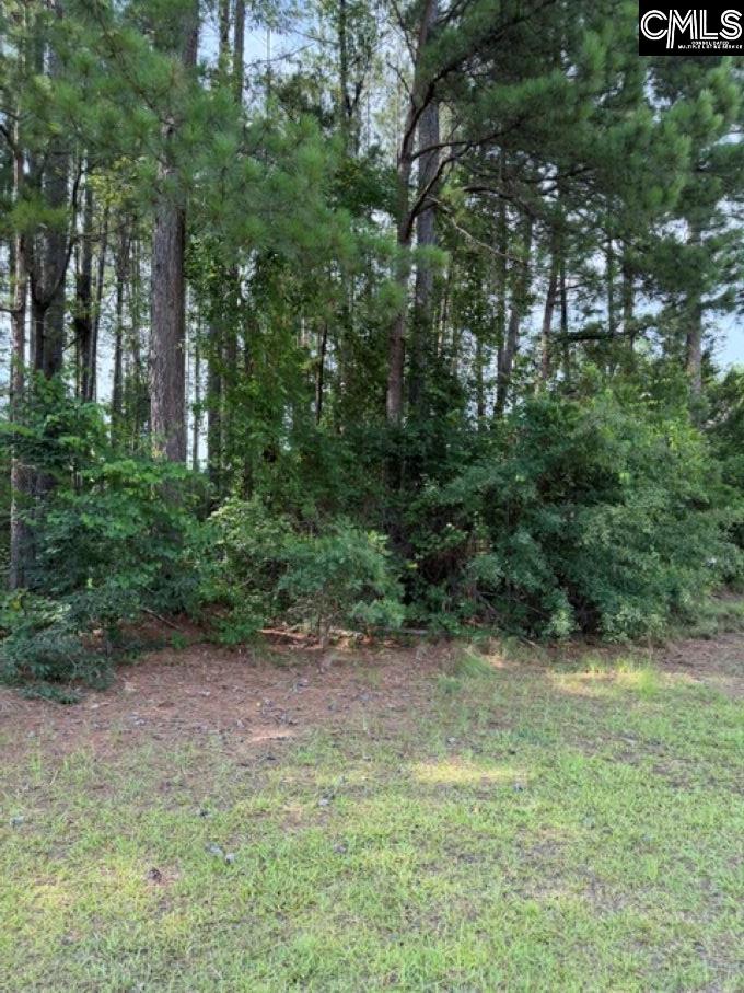 2140 Watersong Run Sumter, SC 29150 - Photo 1 of 5