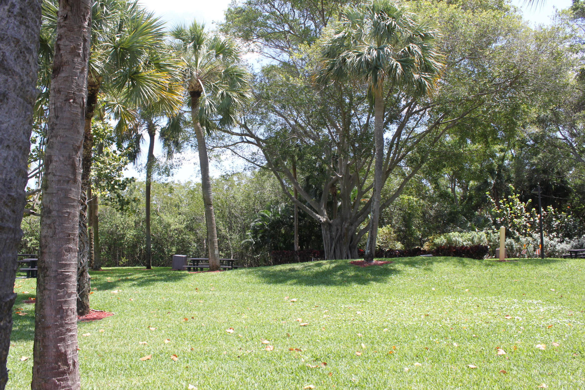 Park next door to house