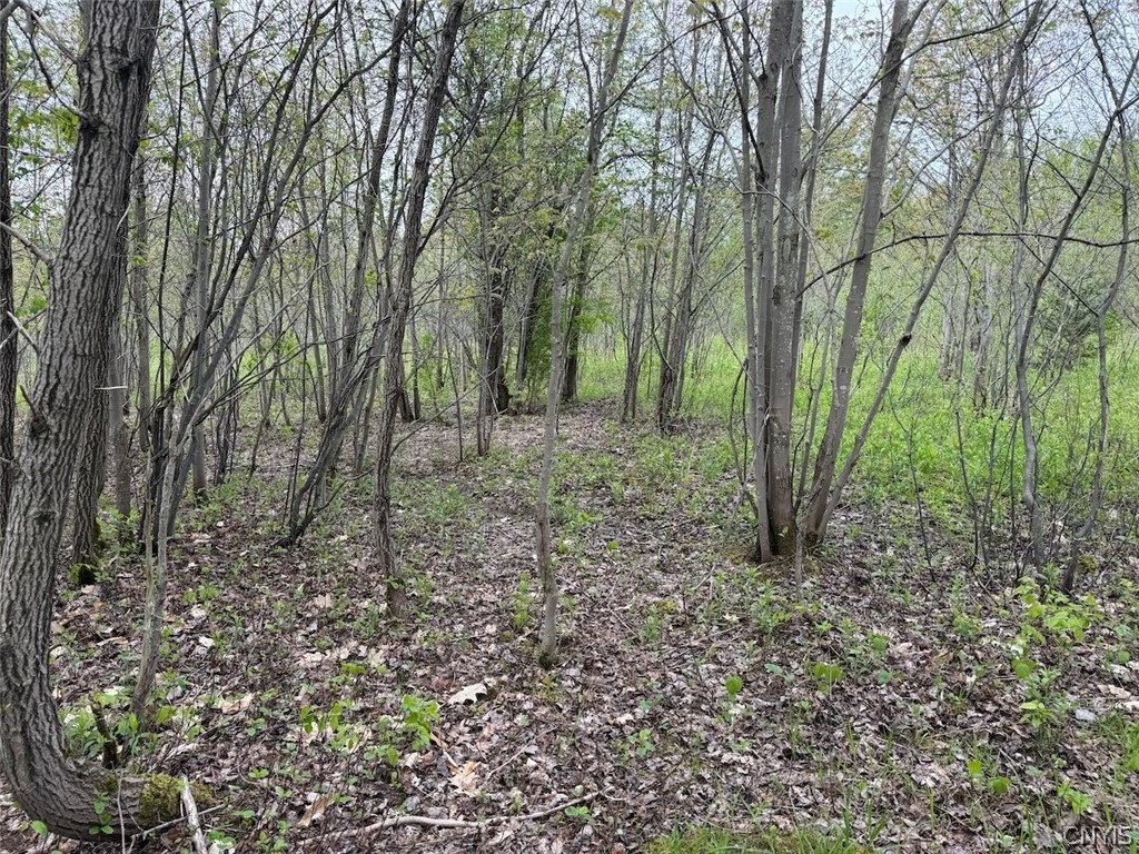 Reynolds Road Franklinville, NY 14737 - Photo 14 of 38